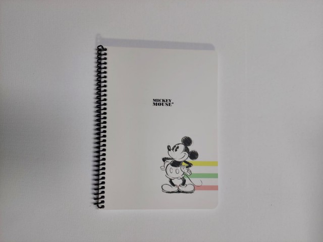 Keskin Color Minnie Mouse Defter 80 Yaprak Karton Kapak Kareli16,5x22,5